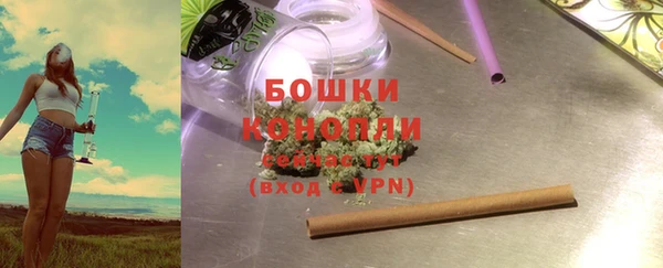 дмт Новозыбков