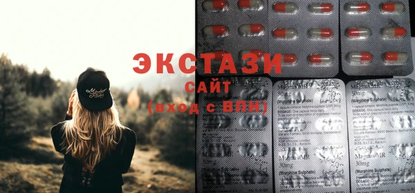 дмт Новозыбков