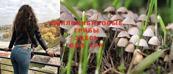 дмт Новозыбков