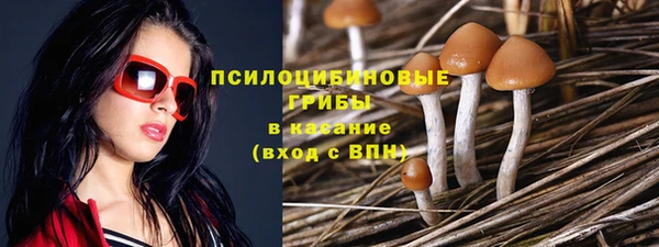 гашиш Новодвинск