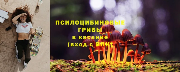 дмт Новозыбков